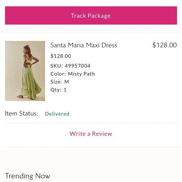 Free People Santa Maria Maxi Dress in Green Misty Path color - Picture 2 of 5